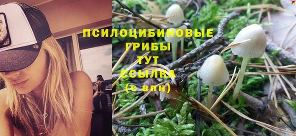 мяу мяу мука Балабаново