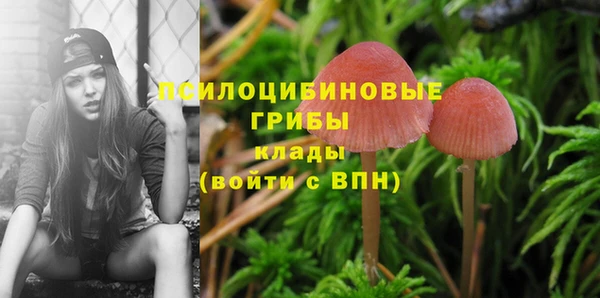 mix Арсеньев