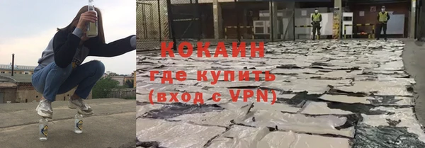 ГАЛЛЮЦИНОГЕННЫЕ ГРИБЫ Аркадак