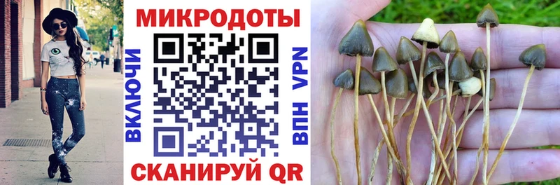 Галлюциногенные грибы Psilocybine cubensis  купить наркотики сайты  Нижние Серги 
